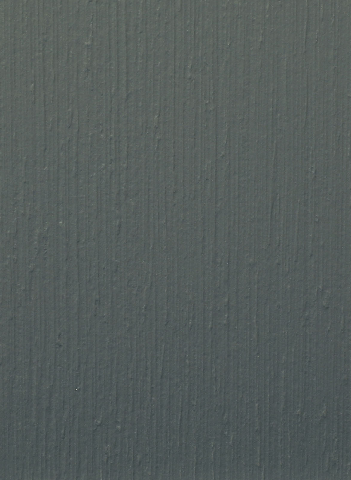 P102 canna di fucile graffiato Don Tavoli Srl