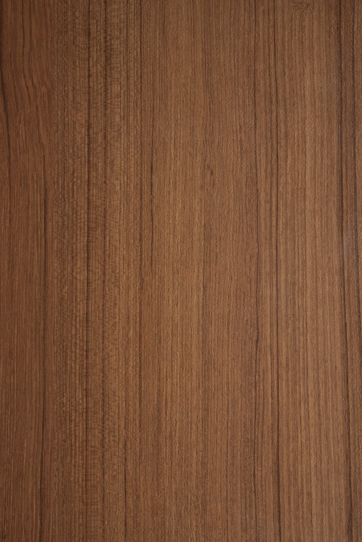 H50 TEAK Don Tavoli Srl