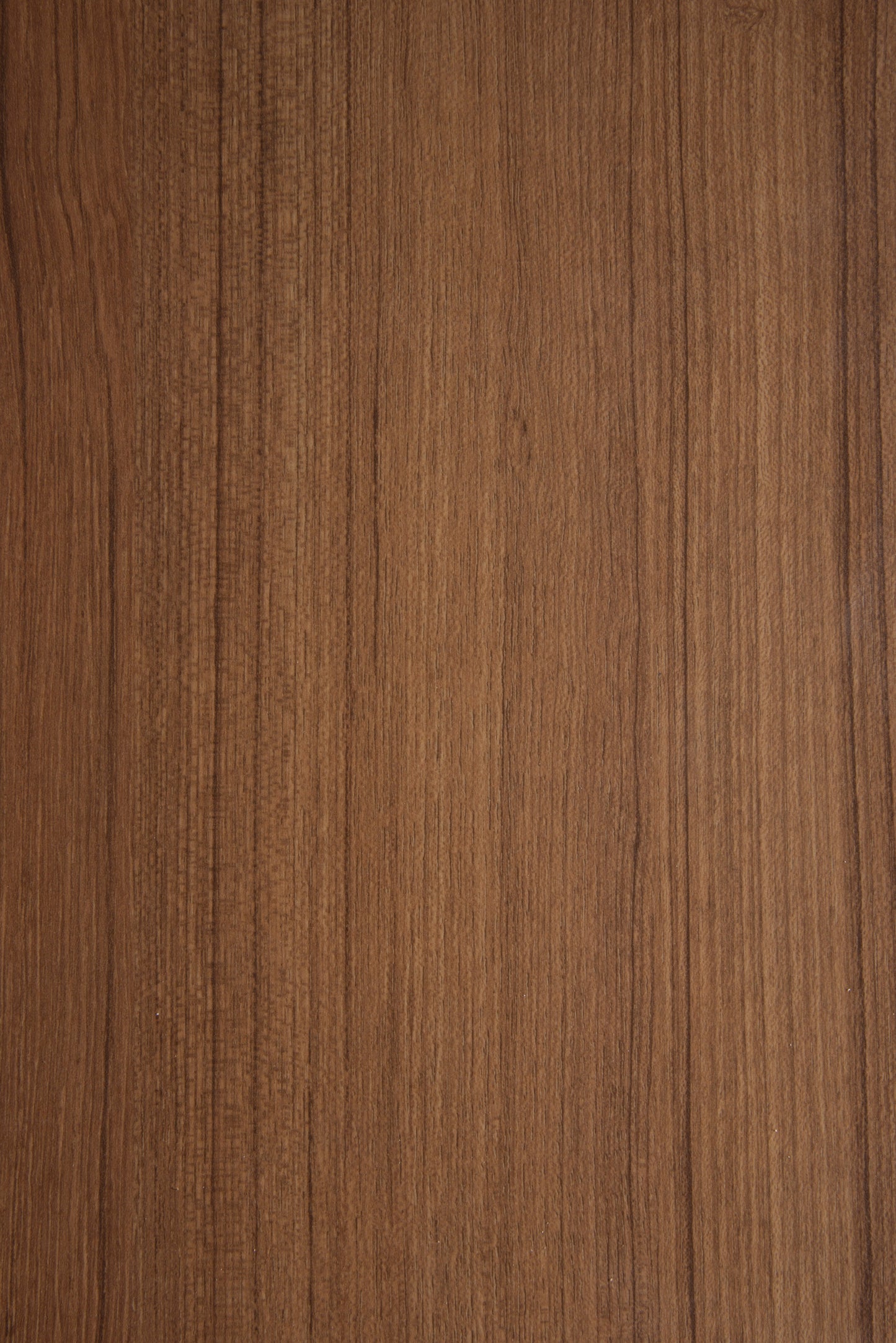 H50 TEAK Don Tavoli Srl