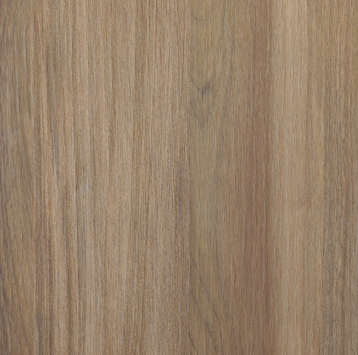 Arpa 4625 Don Tavoli Srl