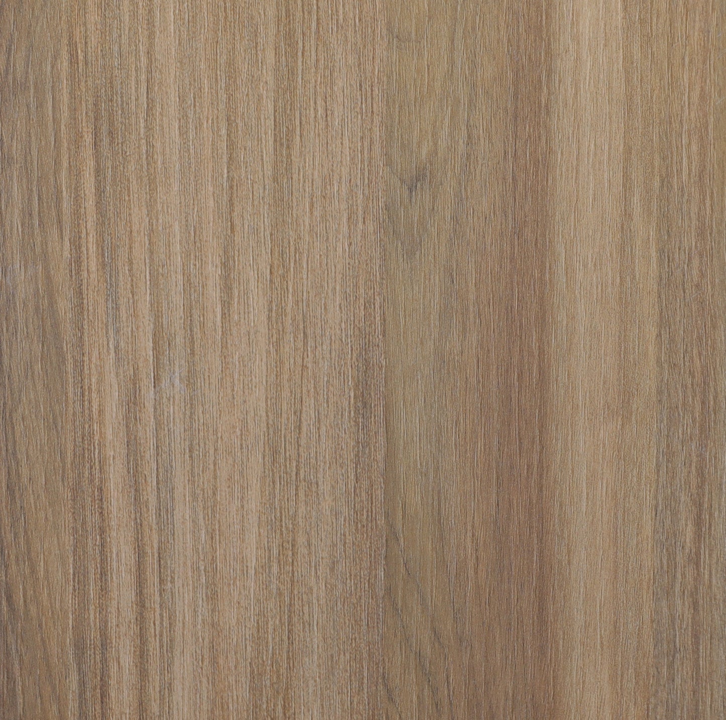 Arpa 4625 Don Tavoli Srl