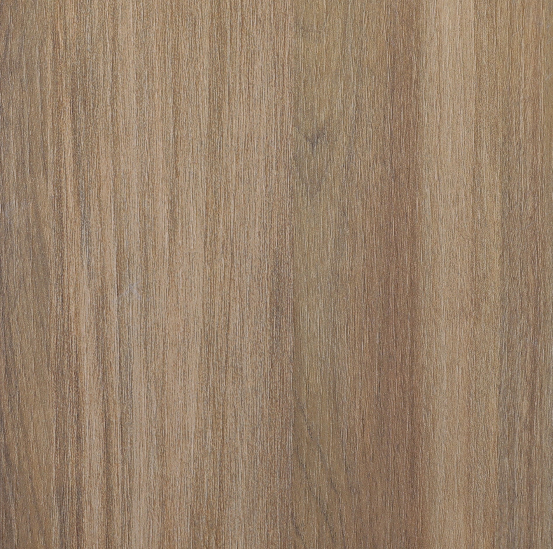Arpa 4625 Don Tavoli Srl