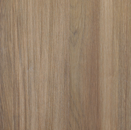 Arpa 4625 Don Tavoli Srl