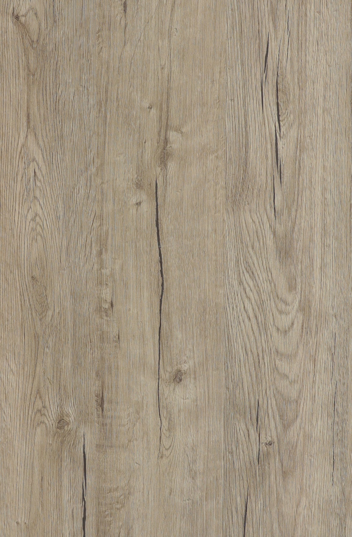 Antico Rovere P61 rovere antico – Don Tavoli Srl