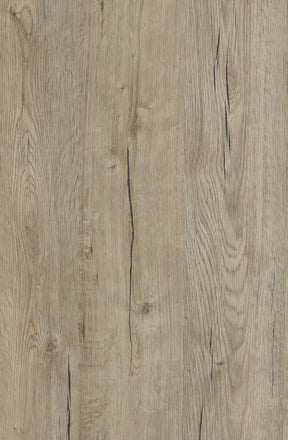 P61 rovere antico Don Tavoli Srl